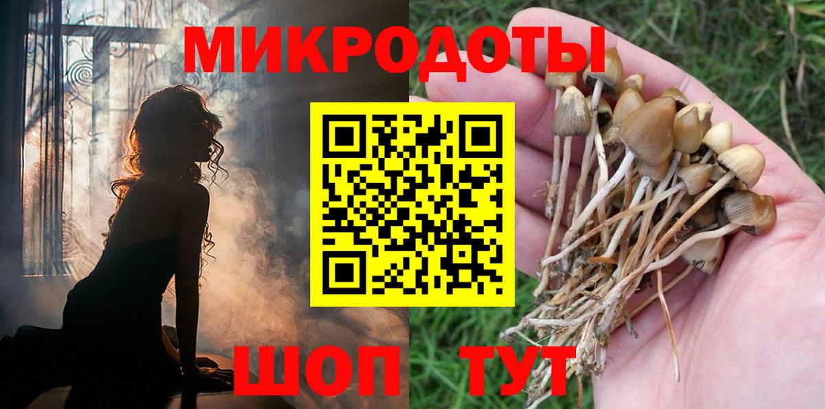 Еманжелинск  Псилоцибиновые грибы Psilocybe  Вход с VPN 